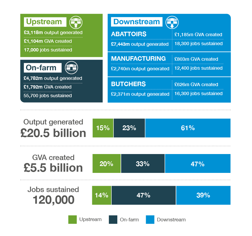 Infographic key and summary figures about the English red meat sector.